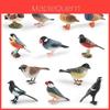 Mandarinenten Vogel Modell PVC Realistischer Papagei Schreibtisch Dekoration Für Kinder Und Sammler