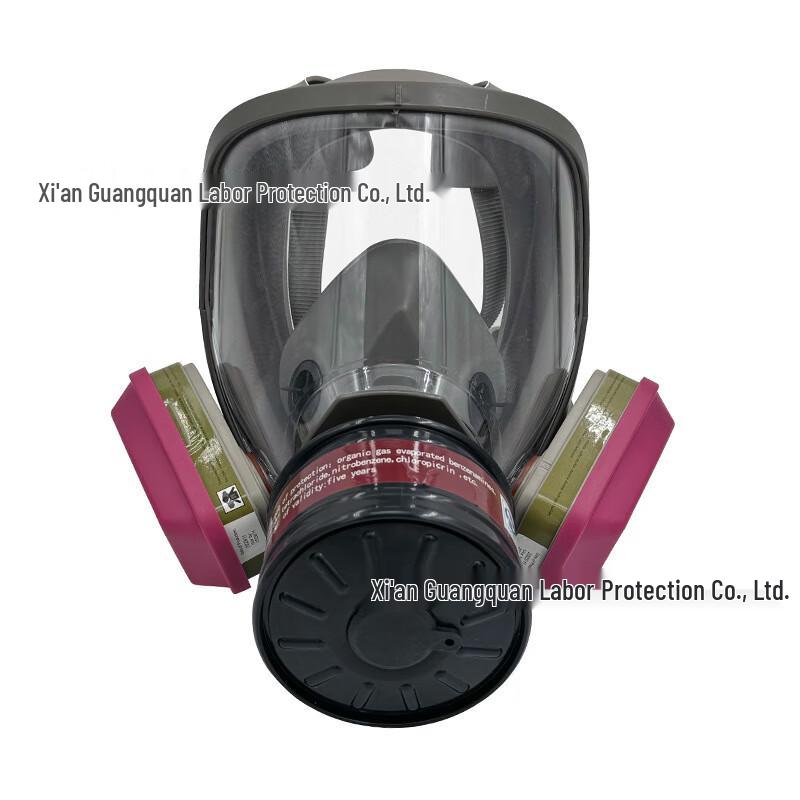 SANSHENG Full-Face Respirator Mask Standard