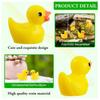 Mini Resin Ducks Tiny Duck Miniature Figures Bulk Little Duck Charms for Party, DIY Micro Landscape Decorations