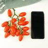 Realistic PVC Cherries Tomato Decoration Item Weather Resistant Fruit Ornament For Garden Parties Party Supplies