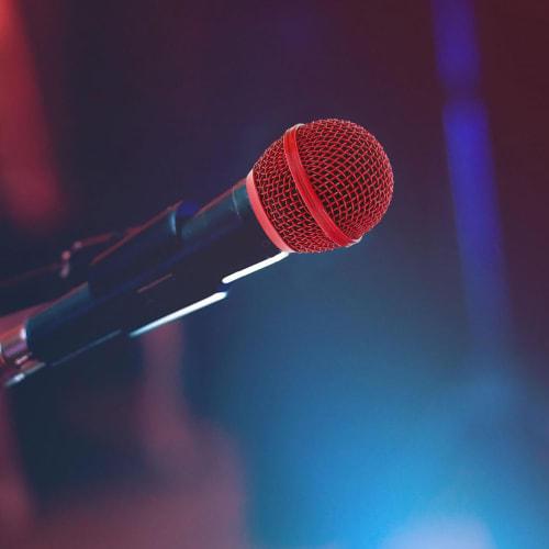 Abaodam 4-Piece Replacement Microphone Head Grill Ball and Inner Foam, Steel Mesh Replacement Head for