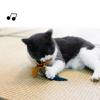 Interactive Cat Birds Toy for Indoor Cute Cat Toy with Realistic Bird Sounds Toy
