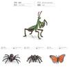 Jungle Rainforest Insect Butterfly Poison Spider Pvc Model Set With Realistic Wildlife Display For Nature Enthusiasts