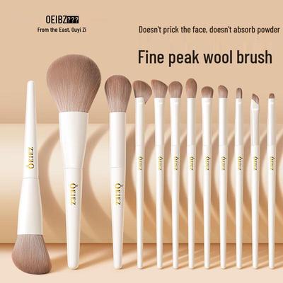 Oeiez 12dílná sada štětců na make-up se zvířecími štětinami