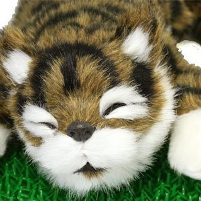 SPACERAIL Смеющийся кот, Темно-коричневый