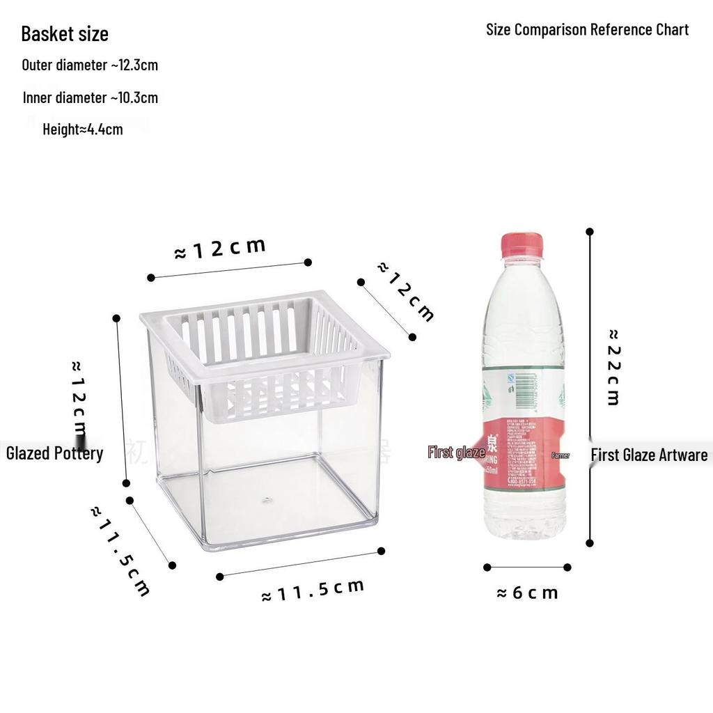 Large Transparent Vase for Hydroponic Plants: Coin Plant, Orchids, Money Tree, Plastic Flower Pot