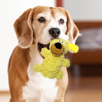 2 Stück Quietschendes Plüsch-Hundekauspielzeug Langeweile Stressabbau Stofftierpuppe Kleiner Mittelgroßer Hund Zahnen Interaktives Plüschtier Haustierbedarf