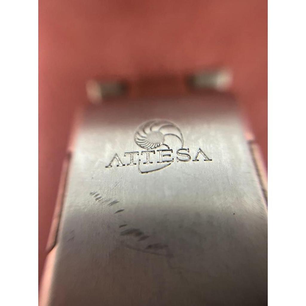 Used Citizen Atessa Eco-Drive Perpetual Calendar Titanium Watch