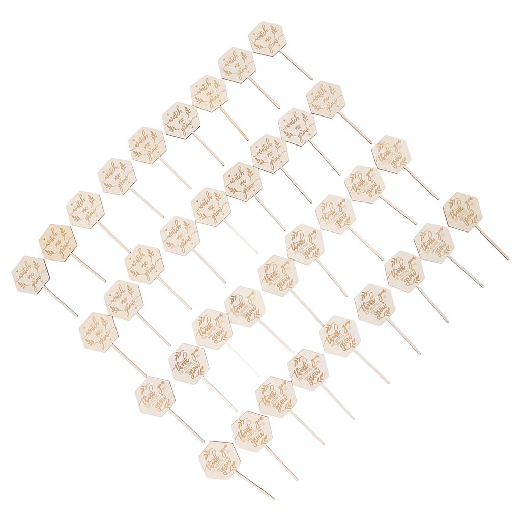 36 st Se mig växa Suckulentetiketter Säkra Miljövänliga Trä Sexkantiga Suckulentetiketter för Blomkruka