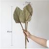 High-End Wabi-Sabi Dried Flower Decor: Natural Reeds & Wheat for Living Room or Homestay.