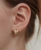 Tatiana (Silver 925) Flower Cubic Full Heart Earrings Ec3068