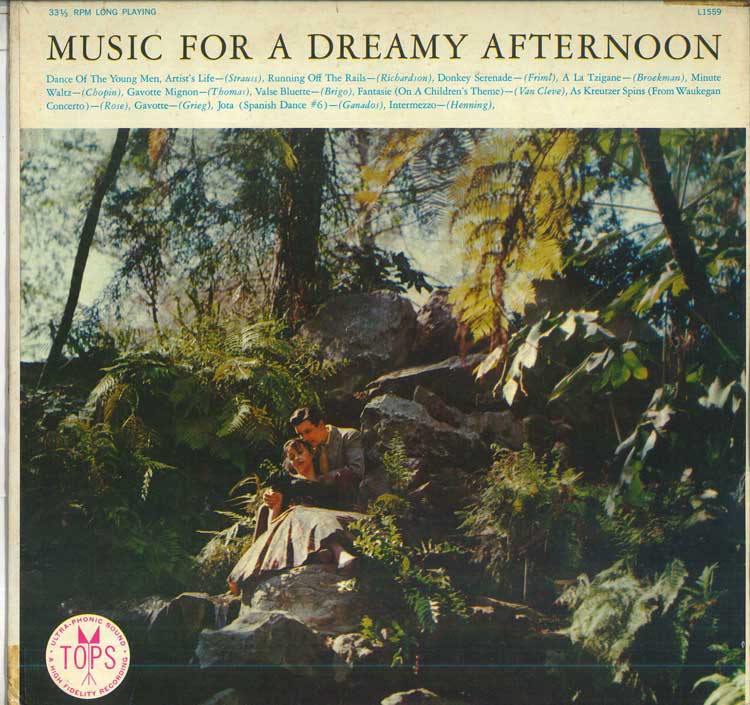 

LP Record INTERNATIONAL CONCERT ORCHESTRA Music For A Dreamy Afternoon L1559 TOPS RECORDS US Classical Used
