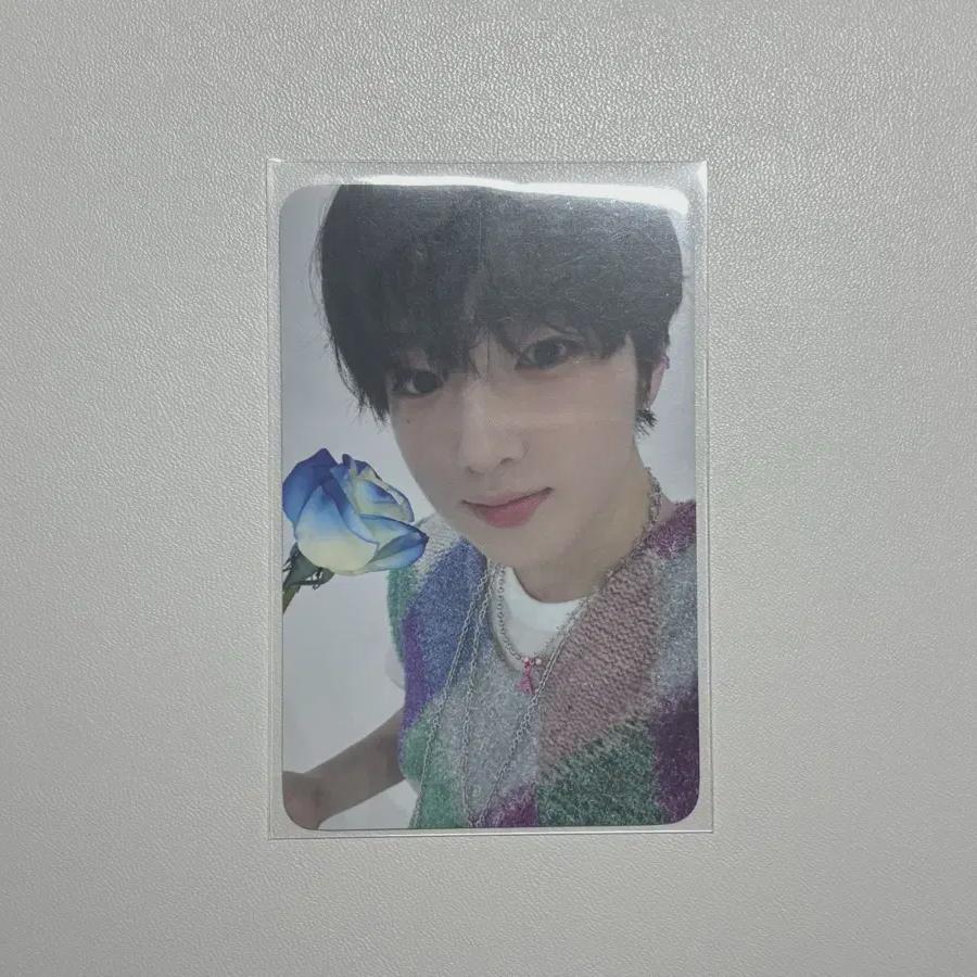 

Ncitywish Sakuya Photocard