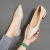 High Heels Women's Thick Heels Small Leather Shoes New Shallow Mouth Pointed Single Shoes Gentle Shoes Work