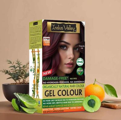 Naturalny Kolor Włosów | Żelowy Kolor Włosów Bez Uszkodzeń Dla Kobiet i Mężczyzn | BURGUNDY- 220ML