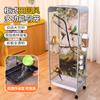 Acrylic Floor Standing Bird Cage for Parrot Budgie Cockatiel Macaw Large Transparent Aviary with Spacious Viewing Area