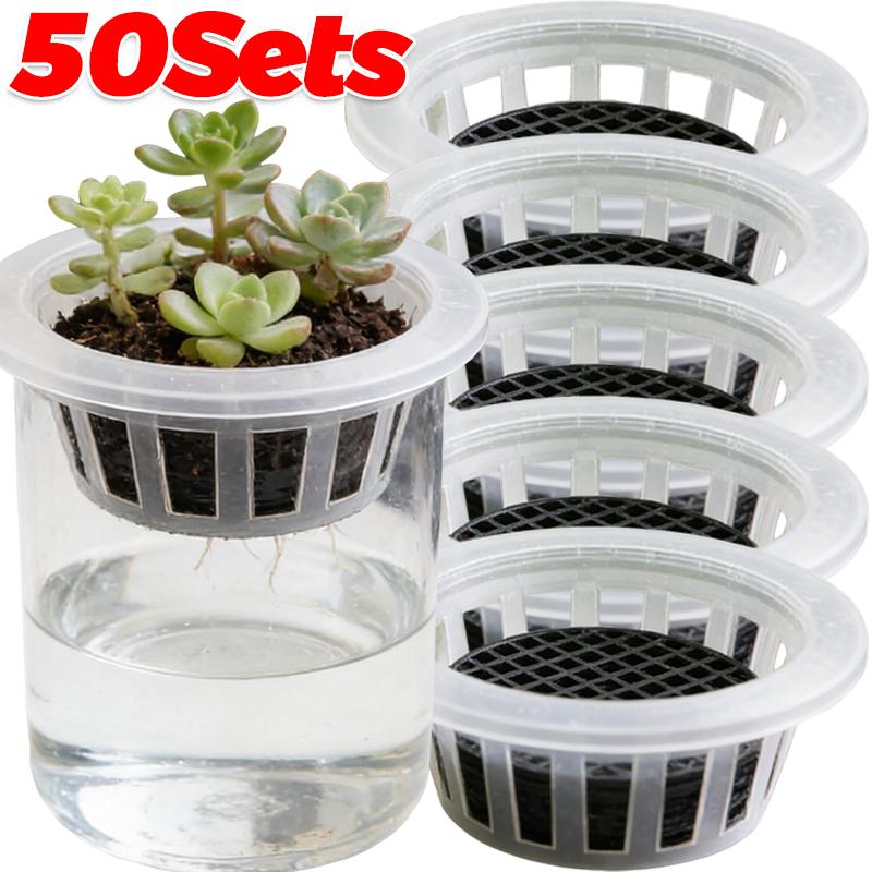 Hydroponic Plant Growing Container Transparent Planting Baskets Garden Slotted Cup Hydroponic Vegetable Planting Seedling Cups