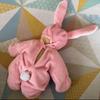 [USED] Teddy Bear Rabbit Kigurumi 20cm Material Co. Bear Plush Toy Kigurumi