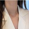 925 Sterling Silver Zircon Tassel Necklace with 18k Gold Plating – Star River Fresh Light Luxury Clavicle Chain, 2025 New Collection.