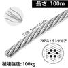 Wire Rope, Stainless Wire, Wire Diameter 0.04 Inch (1 Mm), 100m Wire, Stainless Steel