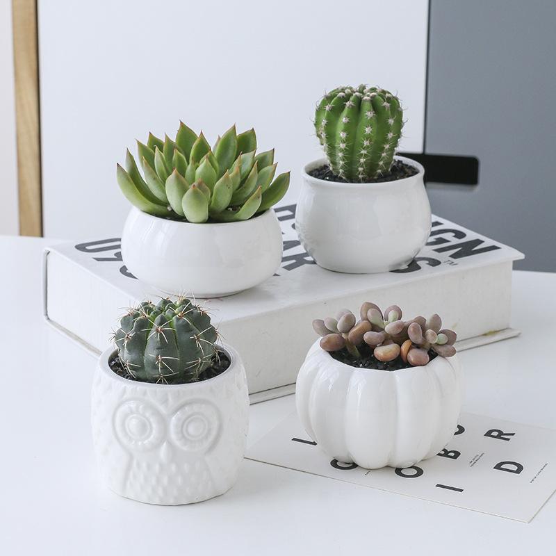 Plant Shelves Flower Display Stand Creative Succulent Plant Owl Pumpkin Bamboo Frame Ceramic Flowerpot Plant Tray
