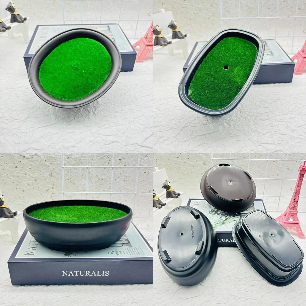 Plastic Faux Bonsai Container For Indoor Plants And Decorative Centerpiece