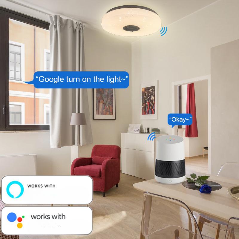 Doodle APP Intelligent Control Remote WiFi Modern Simple Bluetooth Music Bedroom Light LED Ceiling Light