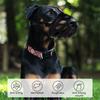 Leaky Nose Design Dog Muzzle Breathable Anti Chewing Mask Anti Biting Muzzle  For Medium Large Dogs