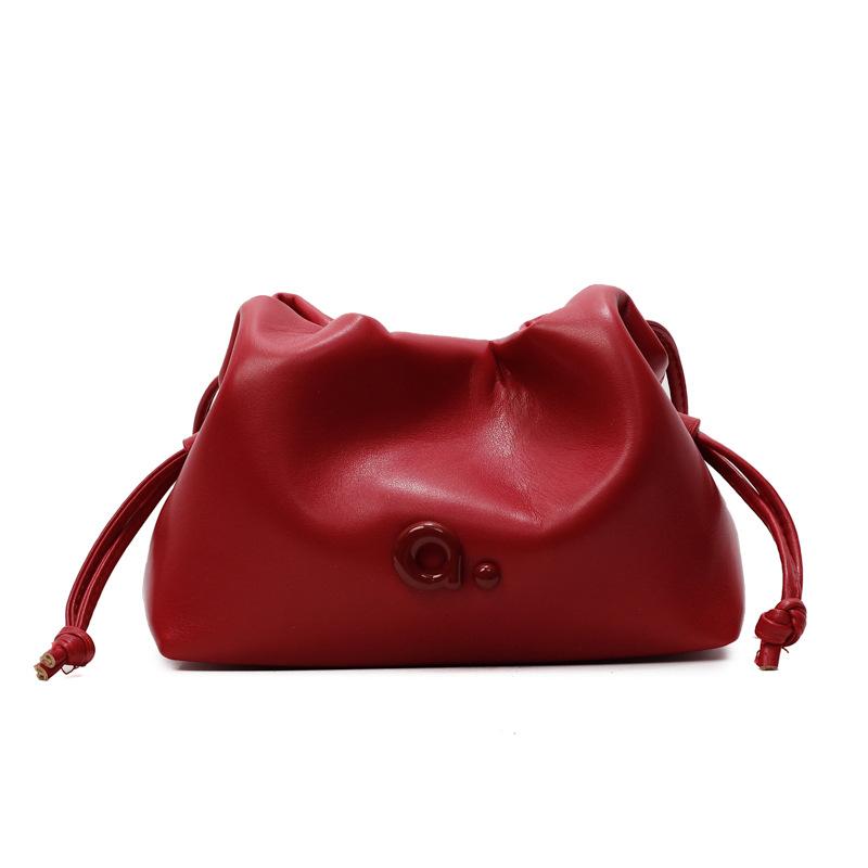 The Cloud Bag Is A Fashionable Casual and High-end Crossbody Bag for Women's Daily Commuting