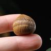 Rosewood Cartoon Chestnut Sister Garlic Pendant in Green Sandalwood Mobile Phone Chain