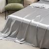 Satin Sheet and Pillowcase Set Smooth Bed Sheet Sets for Summer Satin Silk Flat Sheet With Pillowcase Includes Flat Sheet