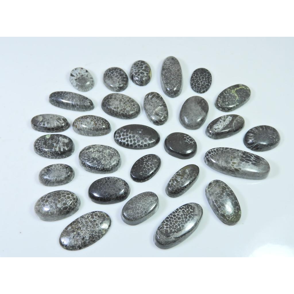 208Cts. Natural Black Fossil Coral Oval Cabochon Loose Gemstone 28 Pcs Lot C-639