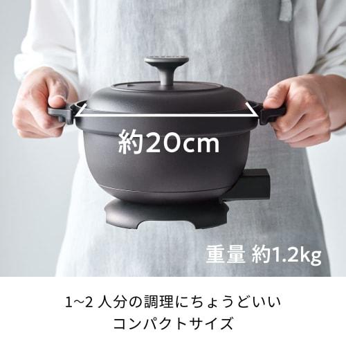 Recolte Electric Cooker, Co-Pot, 5-in-1 Cookware: Simmer, Stir-Fry, Steam, and Fry. Serves 1-2 People. 20cm Pot Size, 500W Low Power Consumption, Powe