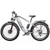 Elektrische Fiets DUOTTS F26 750Wx2 Motor LCD Display 48V 20AH 26" Fat Tire Elektrische Fiets Voor Volwassene Topsnelheid 50Km/u Grijs