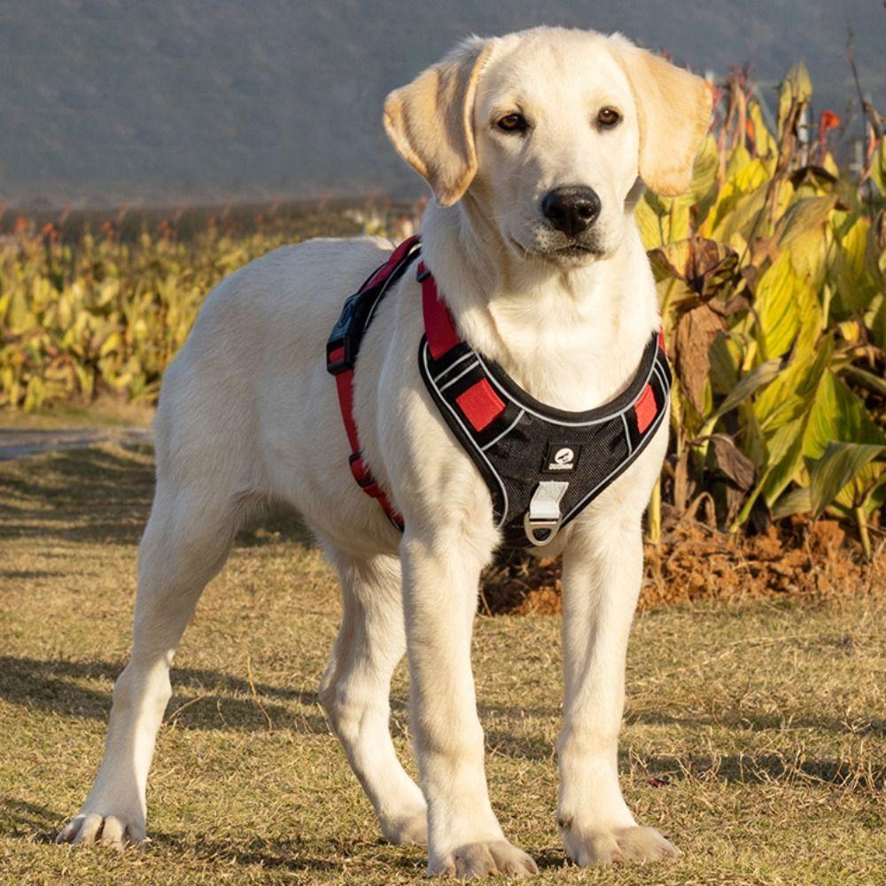 Reflective Dog Chest Strap Lightweight No-Pull Chest Strap Vest Type Dog Harness  Daily Walk