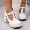 Fashion Shoes Female 2025 Mary Janes Women's High Heels Plus Size Dress Pumps Women Round Toe Buckle Strap Chunky Heels Shoes Women
