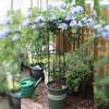 Rustproof Plant Frame DIY Assemble Climbing Plant Support  Vertical Garden Patio Balcony