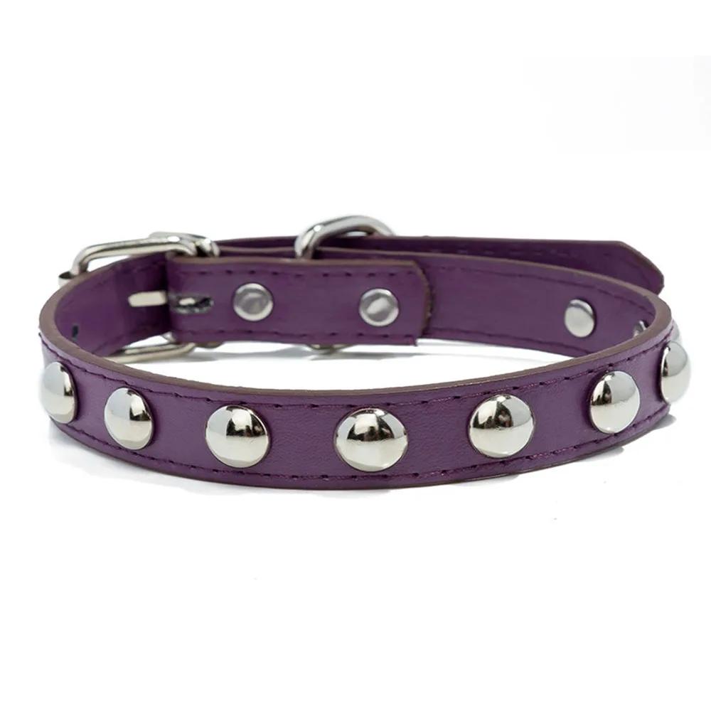 Pet Puppy Collar Fashion Colorful Leather Dog Collar Studded Collars for Small Dogs Cats Newborn French Bulldog ID Neck Strap