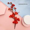 Longevity God Grandma Birthday Cake Topper with Plum Blossom Fan