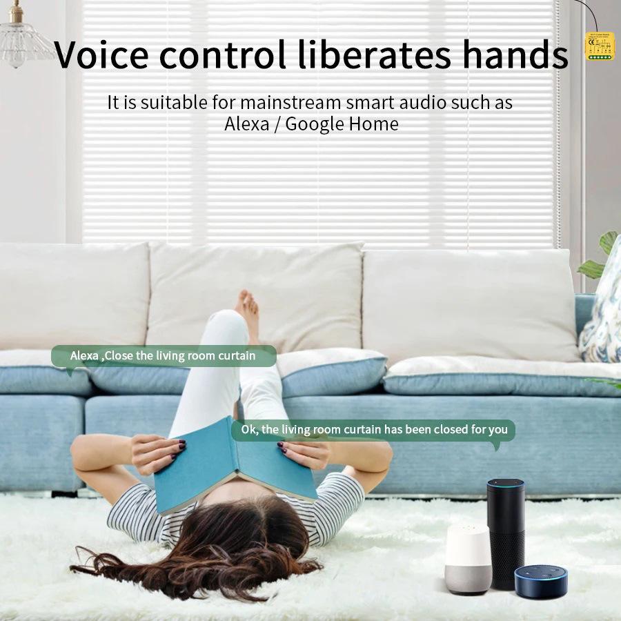 Graffiti Zigbee WiFi Curtain Switch: Voice & App Control for Alexa Blinds