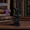 Cat Desk Decoration 3D Printed Reading Statue, Holding Book Glasses Figurine, Artistic Ornament Modern Decorative Animal Sculpture for Home