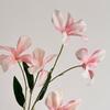 4 Pcs Artificial Renanthera Flower 29 Inch Long Stem Fake Orchid