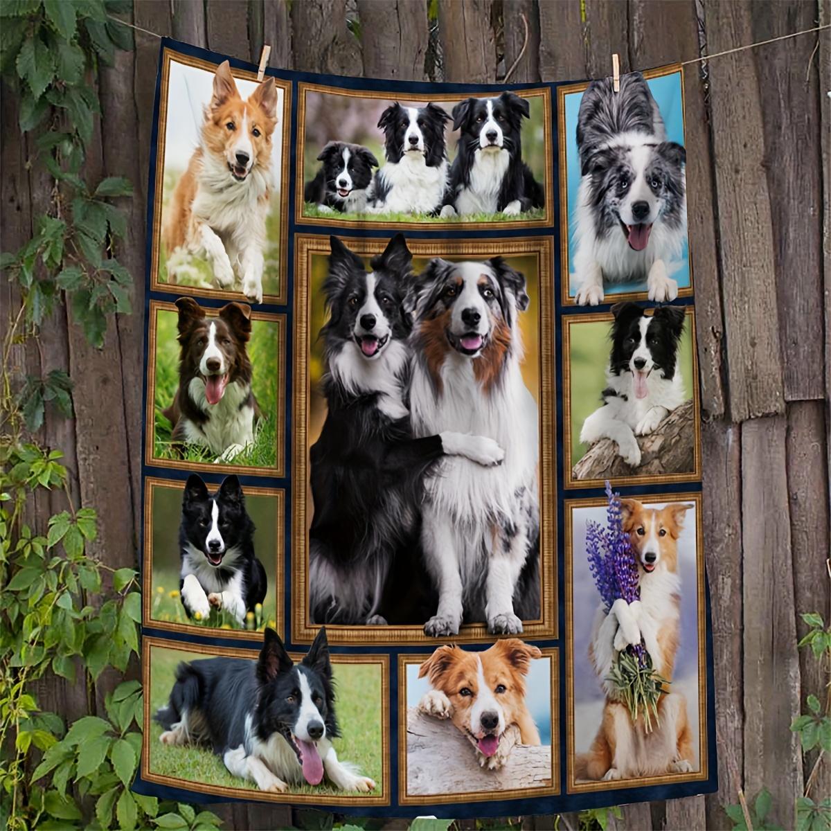 1pc Border Collie Creative Stitching Pattern Gift For Dog Fans Soft Blanket Flannel Blanket Warm And Comfortable Throw Blanket, 70x100cm