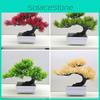 Faux Pine And Branches Decorative Plant For Garden And Living Room