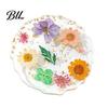 Flower Resin Coaster Handmade Dried Flowers Cup Mat Heat-Resistant Clear Waterproof Table High Temperature Placemat Protection Unique Gift for Coffee