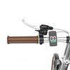 OT02PRO, rosso/verde, potenza motore 250W, 36V, batteria staccabile 5.2AH, pneumatici 20*1.35 pollici, bicicletta elettrica da città, velocità massima 25KM/H