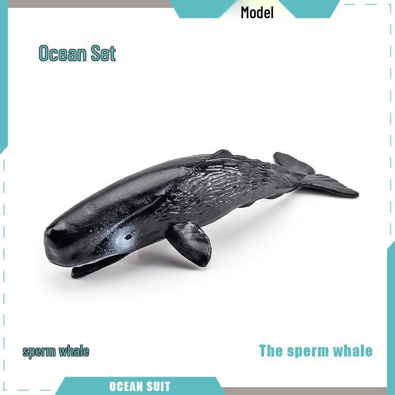 Children's Marine Animal Model Set: Mini Whale, Shark, Dolphin, Turtle, Sea Lion