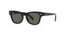 Sunglasses RJ9707S BLACK 46 [Ray-Ban] 100/71