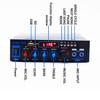 2.0 Channel 220V 800W Black Bluetooth Amplifier with Remote Control Stereo Surround Amplifier