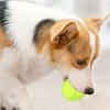 Cães – Brinquedos para cães